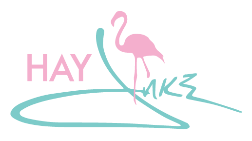 hay jake logo