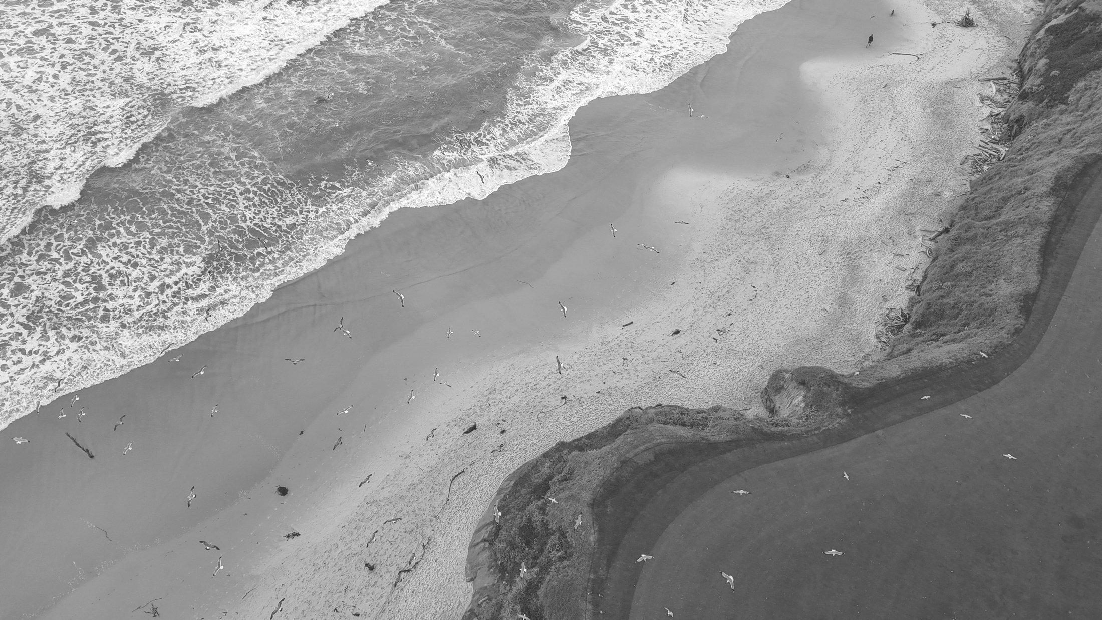 A black and white aerial view of a sandy beach where ocean waves crash onto the shore, leaving foamy patterns on the wet sand.